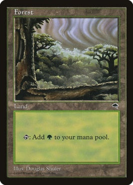 naokuroshop MTG [TMP][349][土地][C][JP][森/Forest] NM